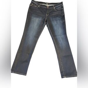 EUC New York & Co SoHo Skinny Jeans